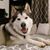 Christian Sanchez's profile image