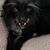 Vicki Ogilvie's profile image