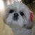Just Around The Corner Dog Grooming & Boutique's profile image