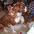 Nancy Shuster's profile image