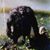 Lita D M Jett's profile image