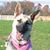 Tracie Williams's profile image