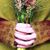 Sandy Thurlow's profile image