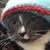 Teri Thompson's profile image