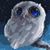 Carol Fitzgerald's profile image