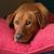 Christy M Perkins's profile image