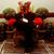Nicholas Besette's profile image