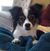 Maureen Thompson's profile image