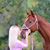Emily Woltman's profile image