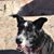 Rhonda Fender Pruett's profile image