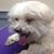Alan Titelbaum's profile image