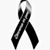 Alexis Trejo L Pollo's profile image