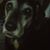 Christine Blanda's profile image