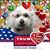 Mike Starrett's profile image