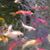 Terry Wilson's profile image