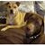 Donna Marie's profile image