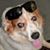 Lindsey Owens's profile image