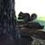 Kim Taylor Smith's profile image
