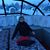 Denise Stanislawczyk's profile image