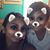 Rosa H. Rivera's profile image
