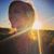 Karen Boyden Phelps's profile image