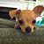 View Myra's profile image