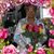 Ruby Gilbert Edwards's profile image