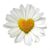 Christie Hepburn's profile image