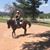 Sharon Pritts's profile image