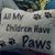 Cathi Perez's profile image