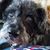 Noreen Hansen's profile image