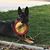 Jill Sherburne's profile image