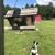 Elaine Clemens Hatcher's profile image