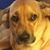 Rodney Shaw's profile image