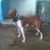 Yered Castañeda's profile image