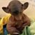 Scott Proper's profile image