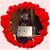 April E. McLaughlin Jarzyk's profile image