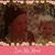Wendy Varnell Allen's profile image