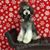 Michelle Wanner's profile image