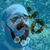 D Brad Leath's profile image