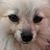 Emerson Kennedy's profile image