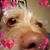 Tonya Saum's profile image