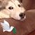 James Hottinger's profile image