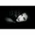 Tara Soto's profile image