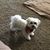 Dottie Johnson's profile image