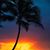 Helen Maria Taylor-Sedano's profile image