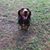 Debra Hall's profile image