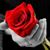 Berta Luz Ruiz's profile image