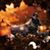 Kelly Gleason's profile image