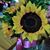 Martha Alicia Castrejon's profile image